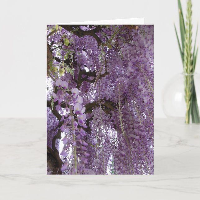 Tarjeta Glicinias también (Anverso)