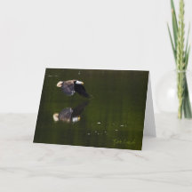 Tarjeta Glide