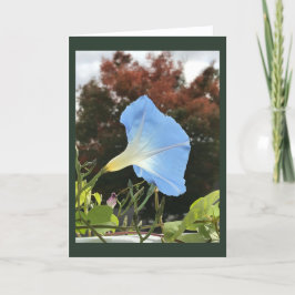 Tarjeta Gloria de la Mañana Azul de Otoño en Blanco