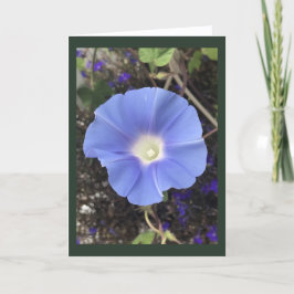 Tarjeta Gloria de la Mañana Azul Verdadero