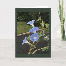 Tarjeta Gloria de la mañana cascada azul en blanco 