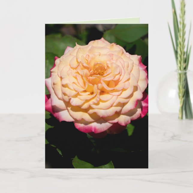 Tarjeta Gloria de Rosa (Anverso)