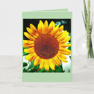 Tarjeta Gloria del Girasol