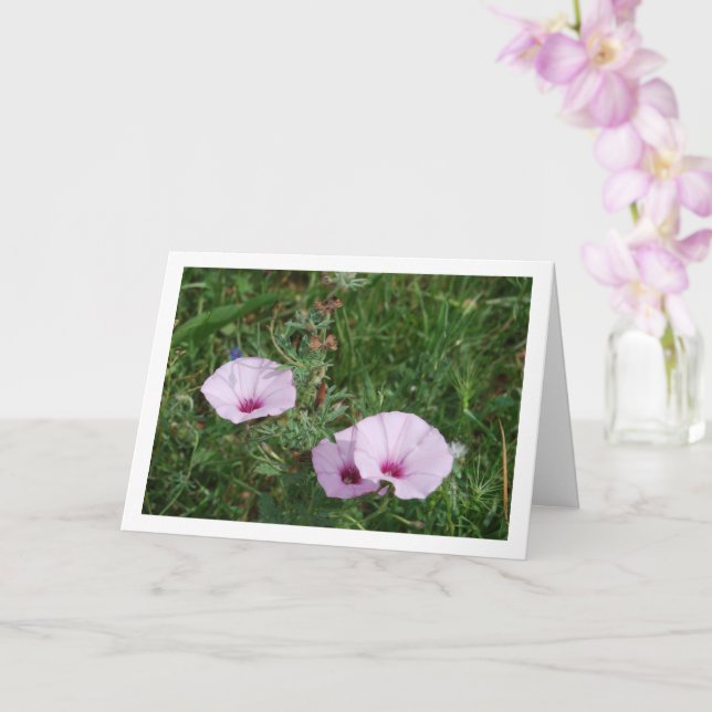 Tarjeta Gloria matutina de Lilac, flores silvestres de Mal (Orquídea)