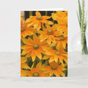 Tarjeta Gloria naranja
