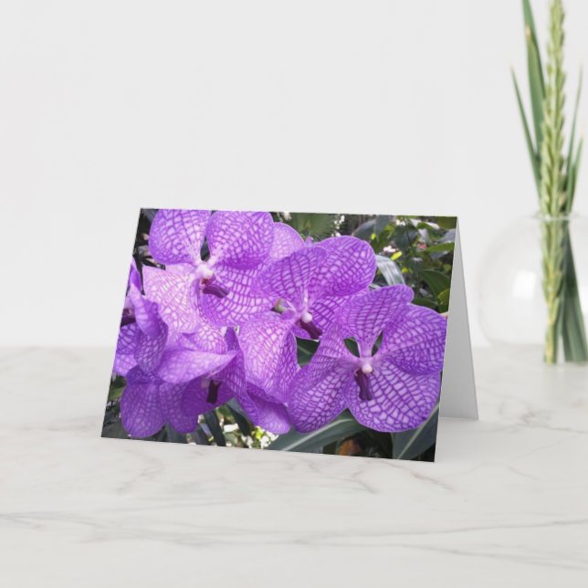 Tarjeta Gloria púrpura en Giverny, Francia (Anverso)