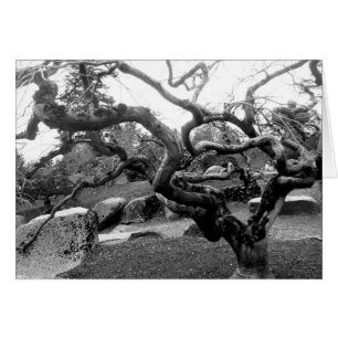 Tarjeta Gnarly del arce 5x7