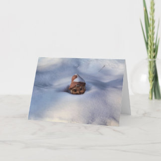 Tarjeta Gnomo de la nieve