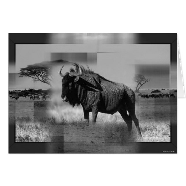 Tarjeta Gnu (Anverso (Horizontal))