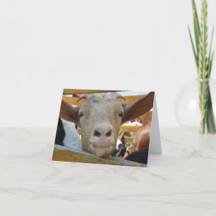 Tarjeta Goat Hello