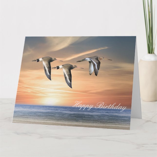 Tarjeta Godwins en vuelo (Anverso)