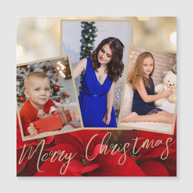 Tarjeta Gold Red Poinsettia Merry Christmas Magnet (Anverso)