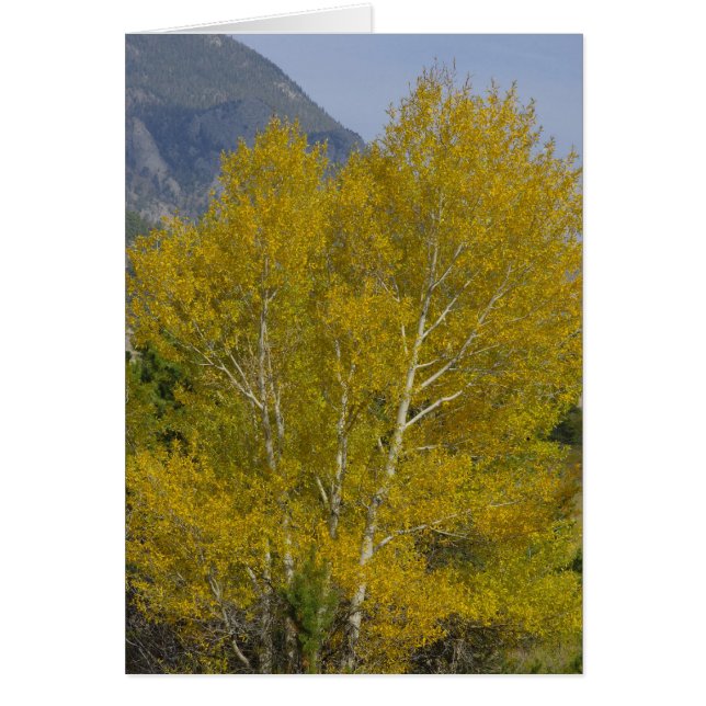 Tarjeta Golden Aspens (Frente)