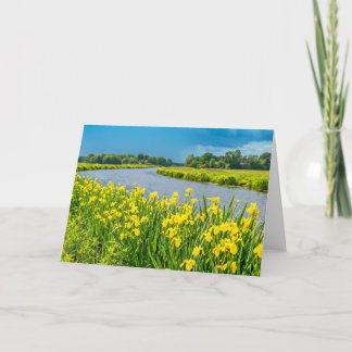 Tarjeta Golden Irises inspiring the symbol Fleur de Lis. 