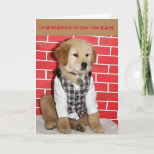 Tarjeta Golden New Puppy