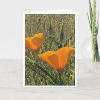 Tarjeta Golden Poppies - 2