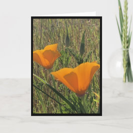Tarjeta Golden Poppies Easter Card 3