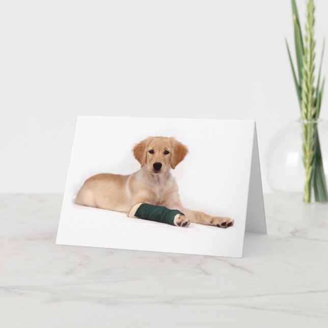 Tarjeta Golden Puppy se pone bien (Anverso)