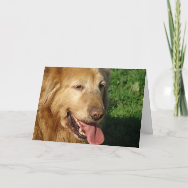 Tarjeta Golden Retriever (Anverso)