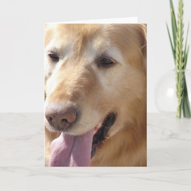 Tarjeta Golden Retriever (Anverso)