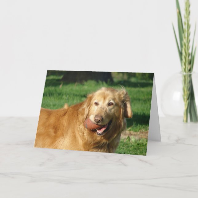 Tarjeta Golden Retriever (Anverso)