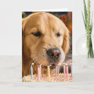 Tarjeta Golden Retriever Apagando Velas de Cumpleaños