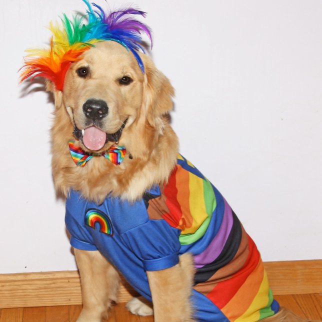Tarjeta Golden Retriever Be You Pride (Subido por el creador)