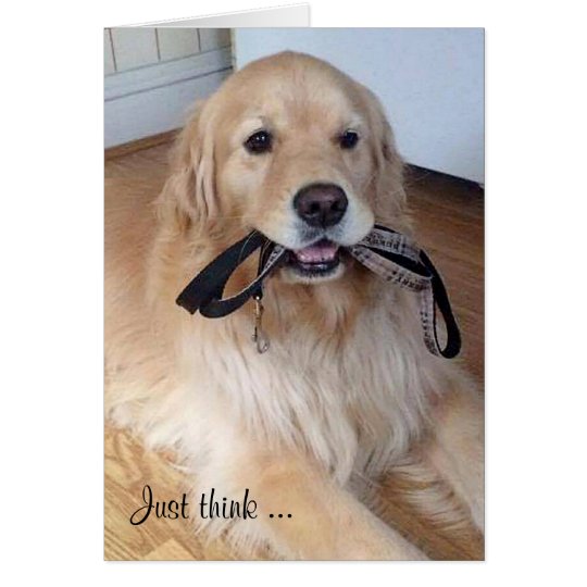 Tarjeta golden retriever con el correo en boca