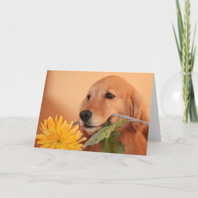 Tarjeta Golden Retriever con flor (Anverso)