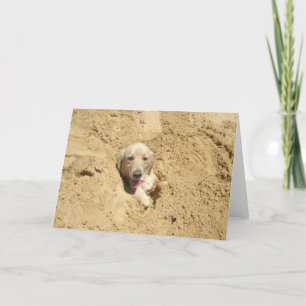 Tarjeta Golden retriever divertido