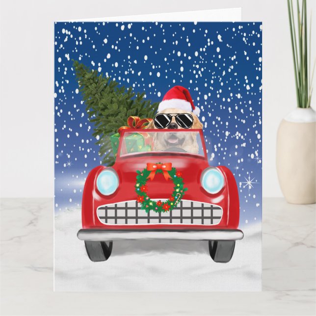 Tarjeta Golden Retriever Dog Driing Car En Navidades De Ni (Anverso)