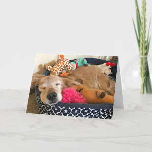 Tarjeta Golden Retriever Donde Tus Sueños Te Llevan