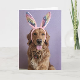 Tarjeta Golden Retriever Easter card