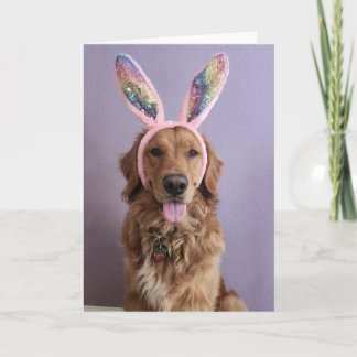 Tarjeta Golden Retriever Easter card