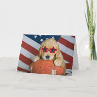 Golden retriever en cumpleaños del fútbol