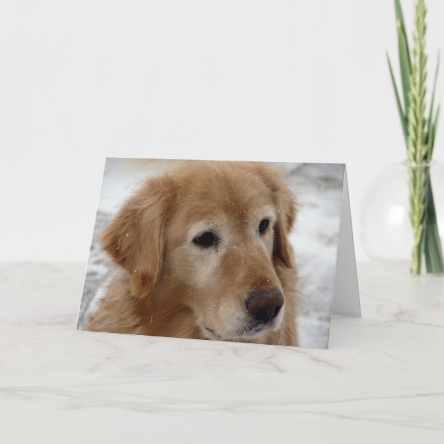 Tarjeta Golden Retriever en invierno (Anverso)