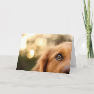 Tarjeta Golden Retriever Eye Closeup