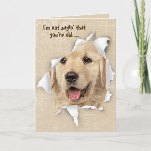Tarjeta Golden Retriever Humor Envejeciendo