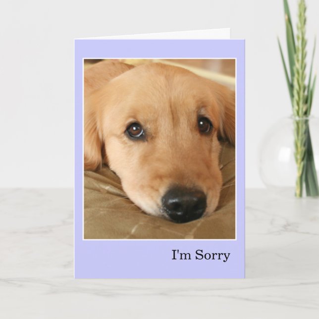 Tarjeta Golden Retriever I'm Sorry Apology (Anverso)