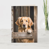 Golden Retriever In Barn Door For Birday