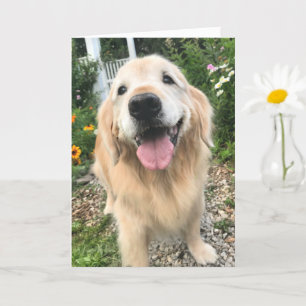 Tarjeta Golden Retriever in Flower Garden: Pensando en ti