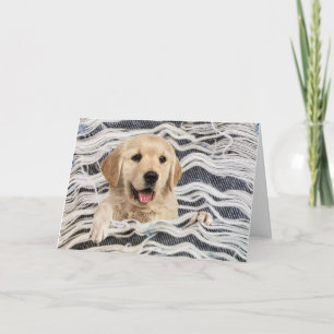 Tarjeta Golden Retriever In Frayed Denim