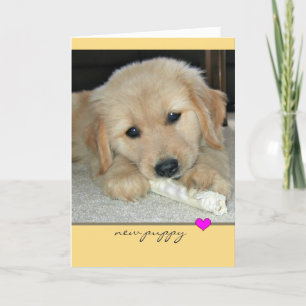 Tarjeta Golden Retriever New Puppy Greet Card