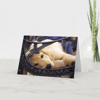 Tarjeta Golden Retriever Puppy