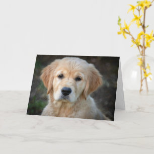 Tarjeta Golden Retriever Puppy