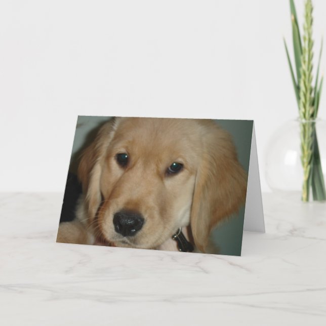 Tarjeta Golden Retriever Puppy (Anverso)