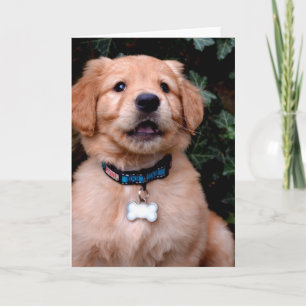 Tarjeta Golden Retriever Puppy
