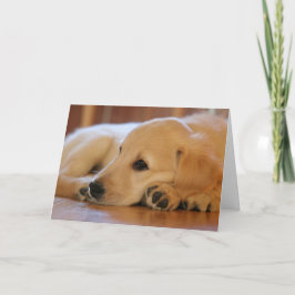 Tarjeta Golden Retriever Puppy Blanc Inside