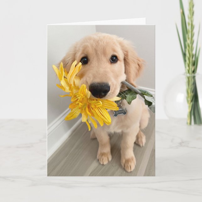 Tarjeta Golden Retriever Puppy con el Día de la Madre de l (Anverso)