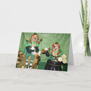 Tarjeta Golden retriever que cuenta la mina de oro